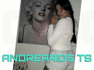 ANDREARIOS_TS