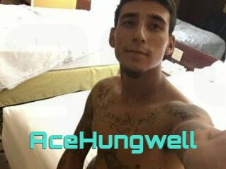AceHungwell Grizzli Edition