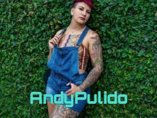 AndyPulido