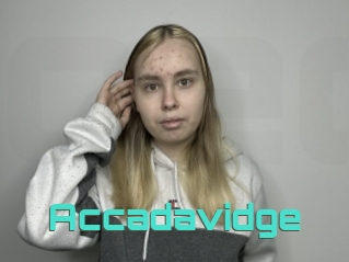 Accadavidge