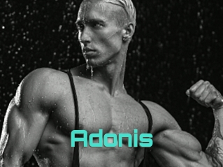 Adonis_