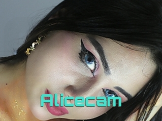 Alicecam
