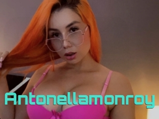 Antonellamonroy