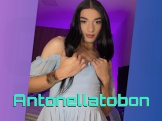 Antonellatobon