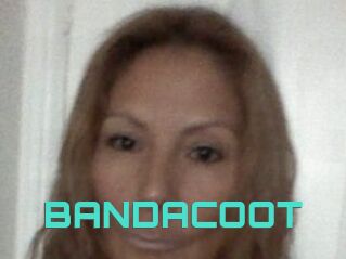 BANDACOOT