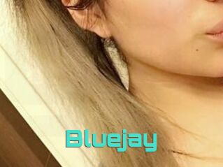 Blue_jay