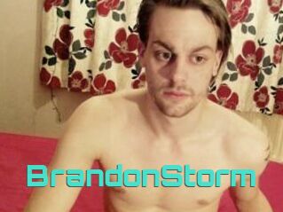 BrandonStorm