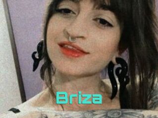 Briza