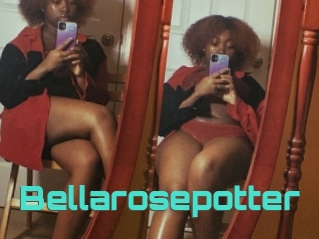 Bellarosepotter