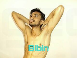 Bibin