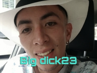 Big_dick23