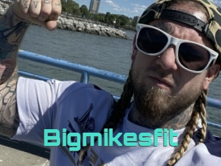 Bigmikesfit