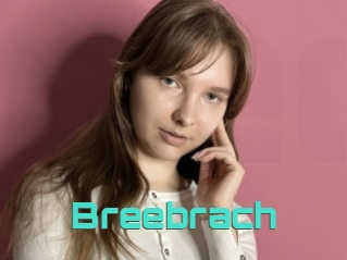 Breebrach