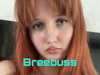 Breebuss