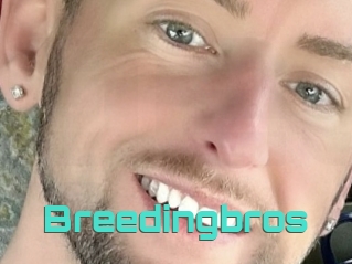 breedingbros Grizzli Edition