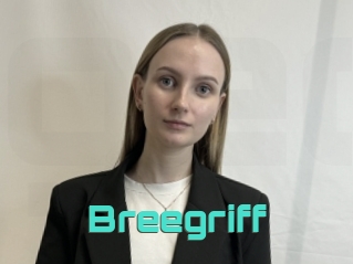 Breegriff