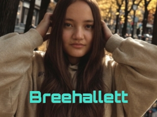 Breehallett