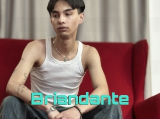 briandante Grizzli Edition