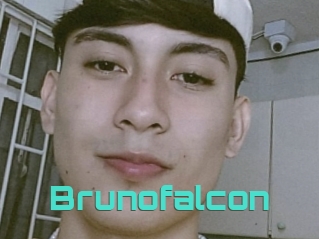 Brunofalcon