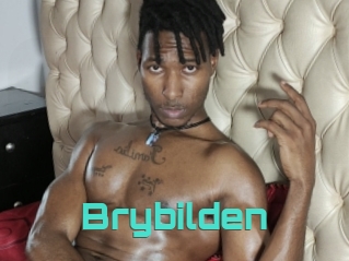 Brybilden