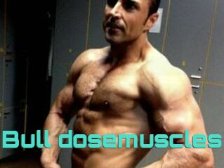 Bull_dosemuscles