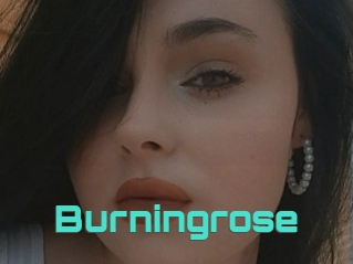 Burningrose