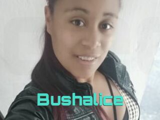 Bushalice