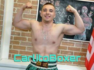 CarlitoBoxer