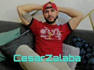 CesarZalaba