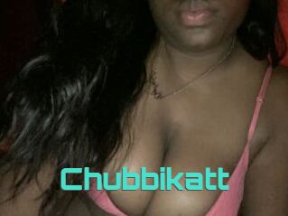 Chubbikatt