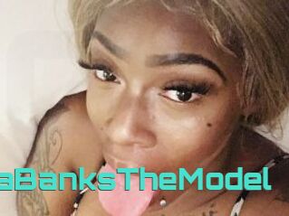 ChynaBanksTheModel