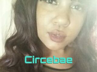 Circebae