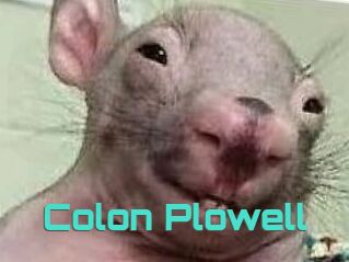 Colon_Plowell