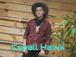 Conall_Hawk