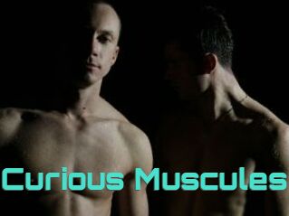 Curious_Muscules