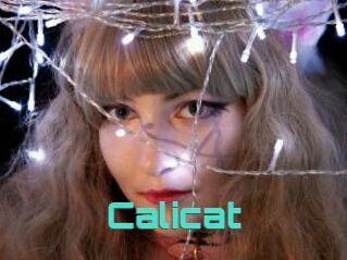 Calicat