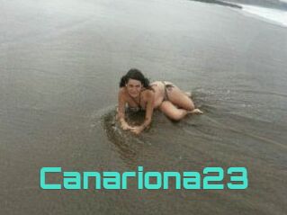 Canariona23