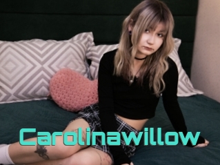 Carolinawillow