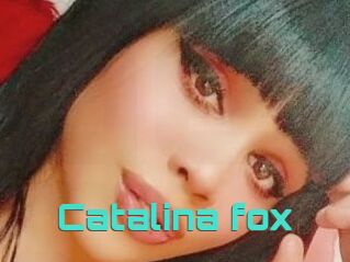 Catalina_fox