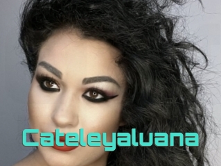 Cateleyaluana