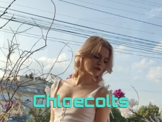 Chloecolts