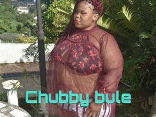 Chubby_bule