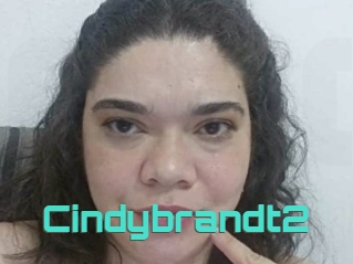 Cindybrandt2