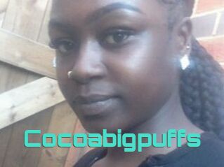 Cocoabigpuffs