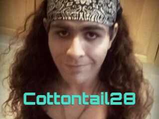 Cottontail28