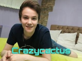 Crazycactus