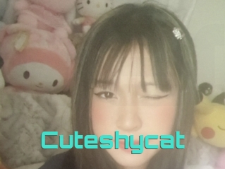 Cuteshycat