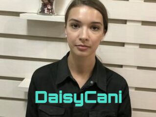 DaisyCani