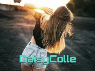 DaisyColle