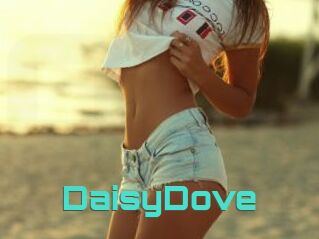 DaisyDove